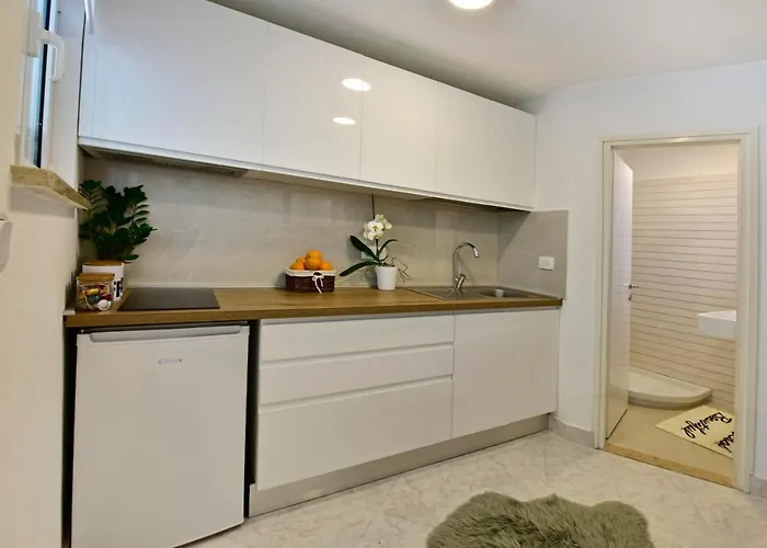 Ginger Appartamento Porec